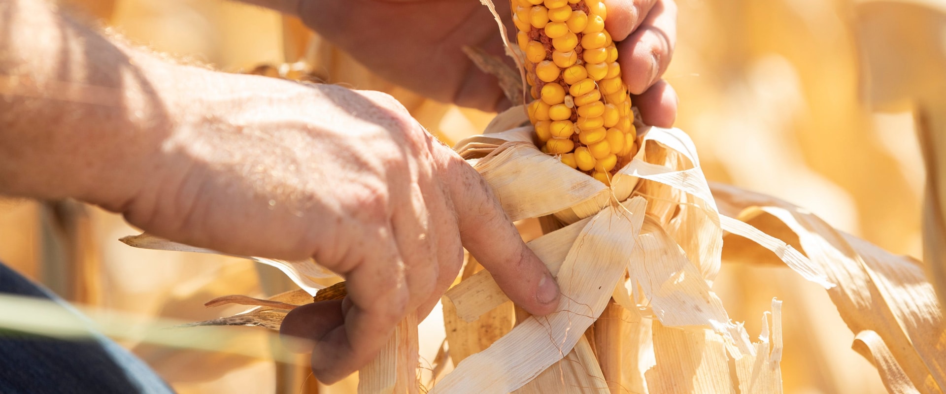 How to Reach Out to the Organizers of the Williamson County Farmers Market